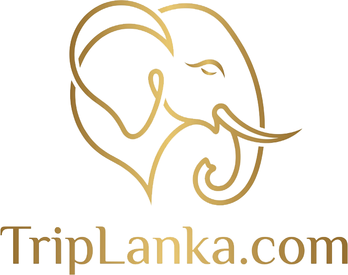 TripLanka - Your Ultimate Sri Lanka Travel Guide